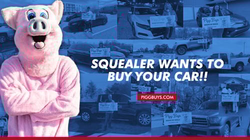 SQUEALERBUYCARScopy